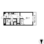 シンコ・コスモス.jpg