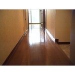 高槻市賃貸マンション・アンシャンテ高宮高槻C棟廊下.jpg