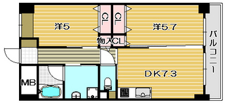 Cタイプ カラー.jpg