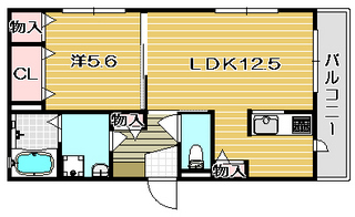 カラー.jpg