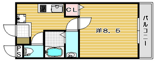 コートパッション カラー.jpg
