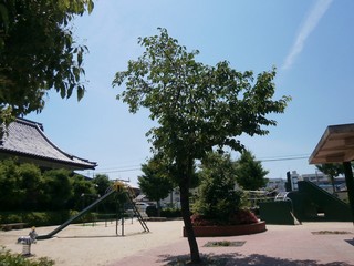 高槻市春日町公園 (2).jpg