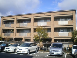 IMGP6932_t.jpg