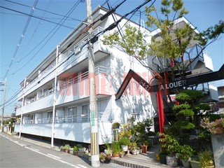 P1050424.jpg