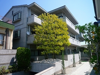 高槻市賃貸マンション レジデンスマルミットドール 外観写真.jpg
