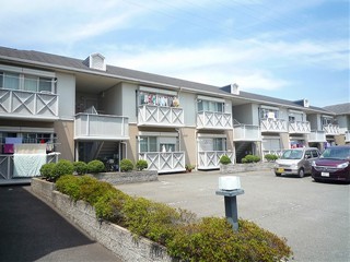高槻市賃貸アパート ドミールサンワB棟 外観.jpg