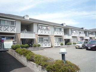 高槻市賃貸アパート ドミールサンワB棟_t.jpg