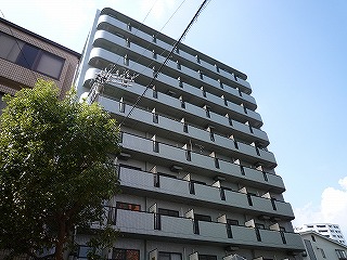 P1140243.jpg