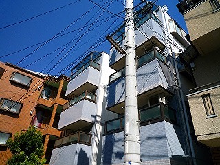P1140521.jpg