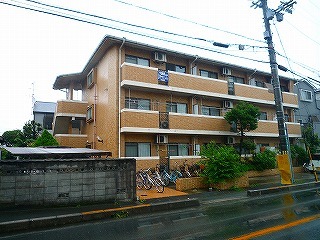 P1170878.jpg