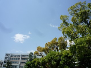 P1200971.jpg
