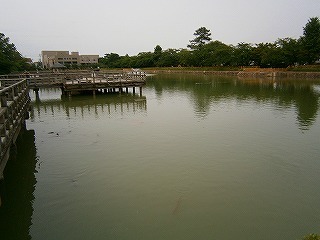 P6270233.jpg