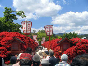 nagaoka-tenjin_tutuji.jpg